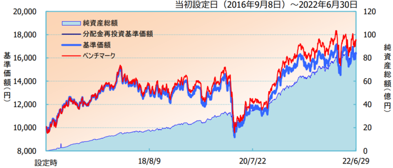 iFree 新興国株式インデックス-基準価額・純資産の推移